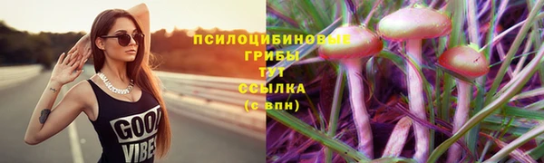 mdma Нязепетровск