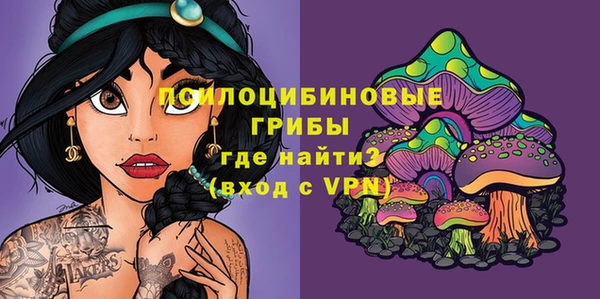 Альфа ПВП Осинники