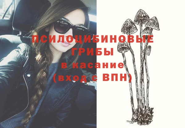 Альфа ПВП Осташков