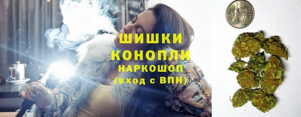 Альфа ПВП Осинники