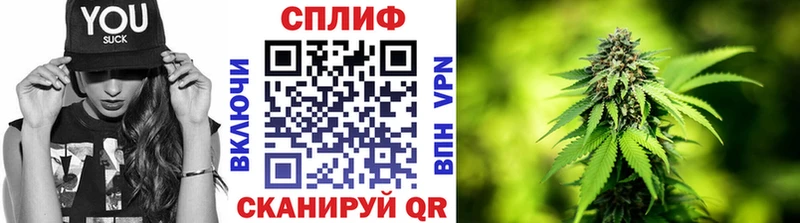 Конопля OG Kush  Малая Вишера 